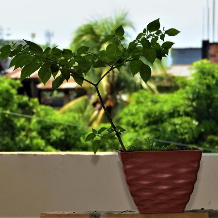 Flor Del Valle Posada Tarapoto Ngoại thất bức ảnh