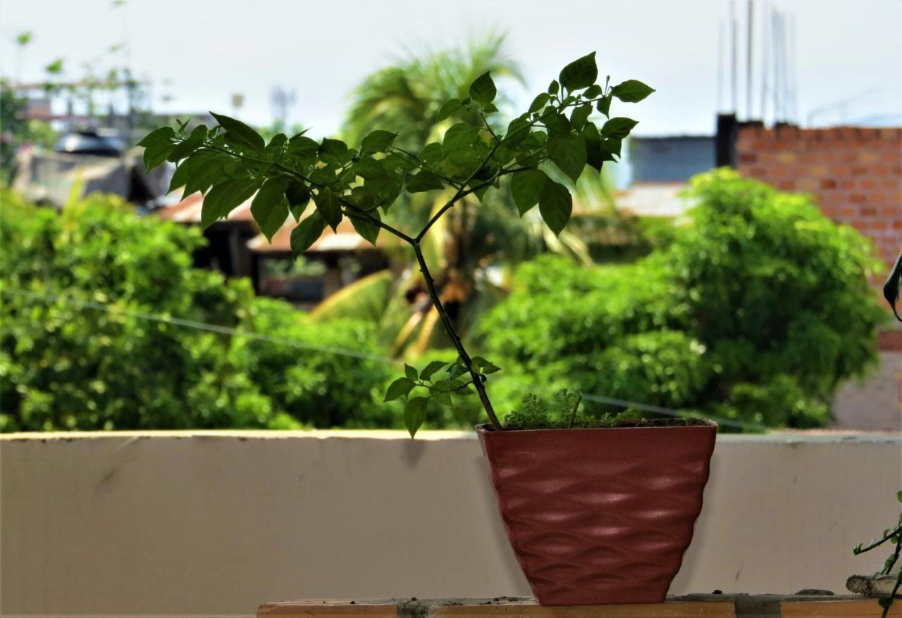 Flor Del Valle Posada Tarapoto Ngoại thất bức ảnh